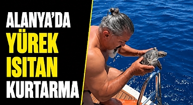 Antalya Alanya'da yürek ısıtan kurtarma! Çuvala dolanan caretta caretta son anda kurtarıldı