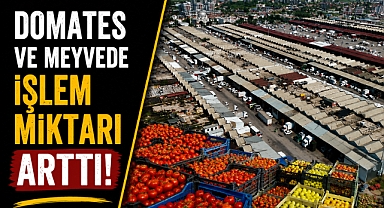 Antalya’da Haziran ayında domates ve meyvede işlem miktarı arttı