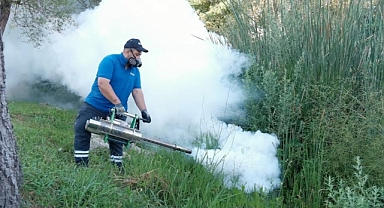 Antalya’da sivrisineğe karşı Boğaçayı kuşatması! Ekipler kritik noktalara girdi