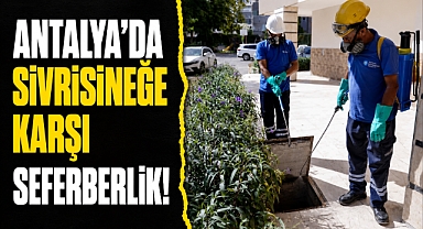Antalya'da sivrisineğe karşı seferberlik! 19 ilçede yoğun mücadele