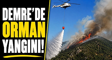 Antalya Demre'de orman yangını! Helikopter ve uçaklar alevlerle mücadele ediyor