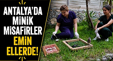 Antalya Doğal Yaşam Parkı’nda tam donanımlı klinik hizmeti