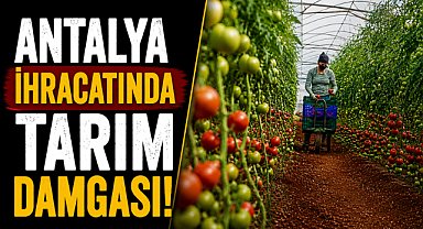 Antalya ihracatında tarım damgası! Her 100 doların 62'si bu sektörden
