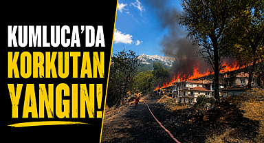 Antalya Kumluca'da korkutan yangın! Alevler son anda evlere ve ormana ulaşmadan durduruldu