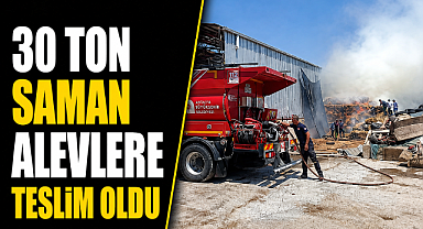 Antalya Manavgat'ta bir kıvılcım yetti! 30 ton saman alevlere teslim oldu