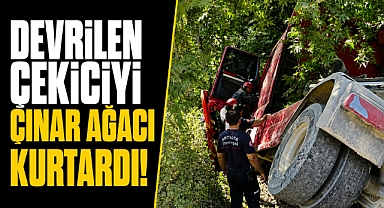 Antalya Manavgat'ta kum yüklü çekici devrildi! Dev çınar olası facianın önüne geçti