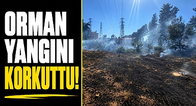 Antalya Manavgat'ta orman yangını korkuttu! Alevler büyümeden söndürüldü