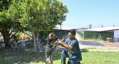 Antalya Muratpaşa’dan patili dostlara serin dokunuş