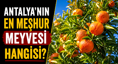 Antalya'nın en meşhur meyvesi hangisi? İşte kentin simgesi haline gelen lezzet
