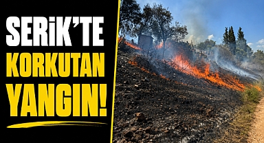 Antalya Serik'te korkutan yangın! Alevler evlere ulaşmadan söndürüldü