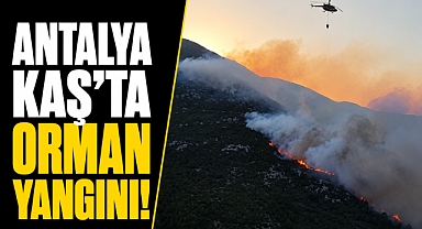 Antalya Kaş'ta orman yangını alarmı! Ekipler havadan ve karadan seferber oldu