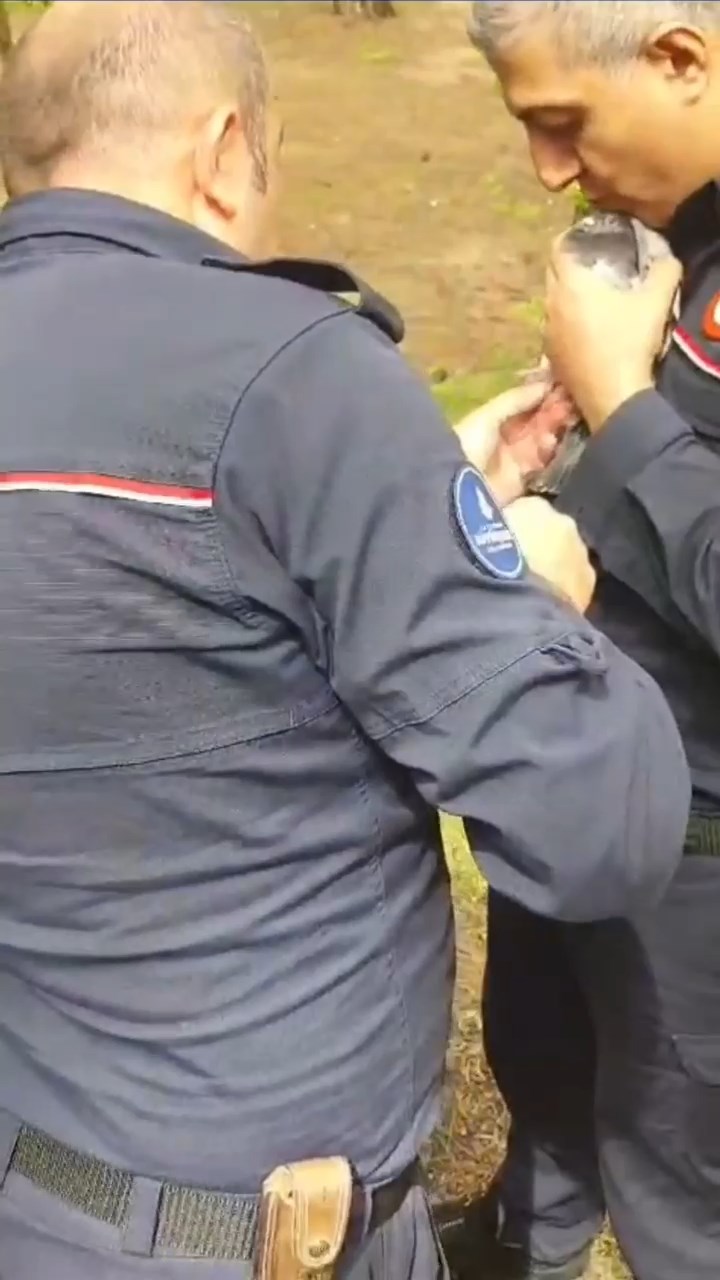 İstanbul - Beylikdüzü’nde güvercin kurtarma operasyonu
