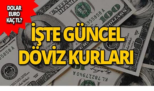 11 Haziran 2019 Döviz kurlarında son durum