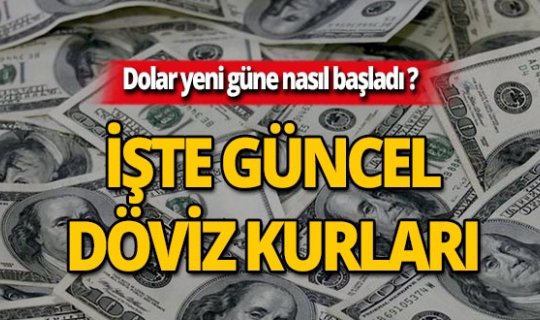 11 Temmuz 2019 Döviz kurlarında son durum