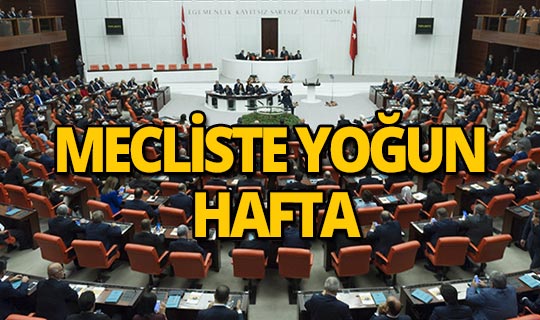 12 gün sürecek maraton yarın başlıyor!