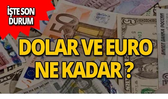 13 Haziran 2019 Döviz kurlarında son durum