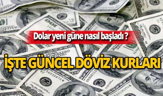 13 Kasım 2019 Döviz kurlarında son durum