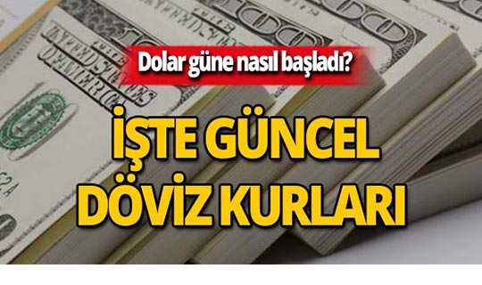16 Temmuz 2019 Döviz kurlarında son durum