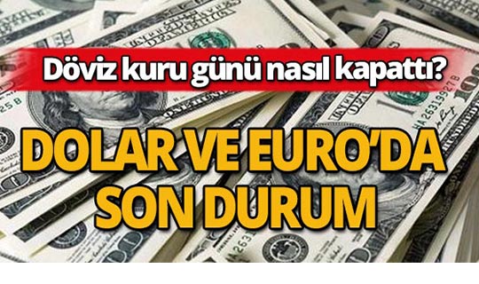 17 Ağustos 2018 döviz kuru günü nasıl kapattı?