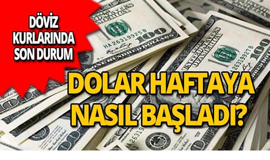 17 Aralık 2018 Döviz kurlarında son durum