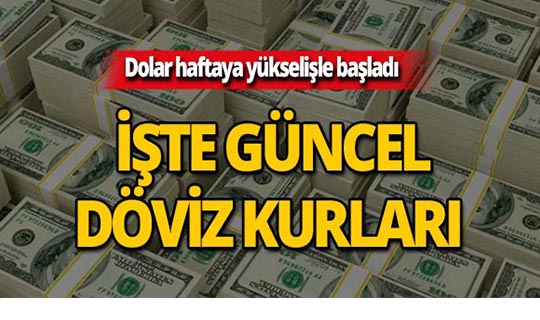 17 Haziran 2019 Döviz kurlarında son durum
