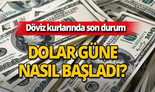 18 Aralık 2018 Döviz kurlarında son durum
