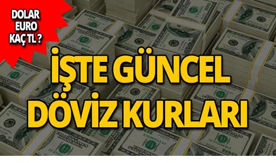 18 Temmuz 2019 Döviz kurlarında son durum