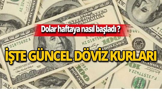 19 Ağustos 2019 Döviz kurlarında son durum