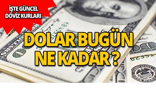 1 Ağustos 2019 Döviz kurlarında son durum