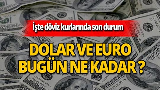 1 Mayıs 2019 Döviz kurlarında son durum