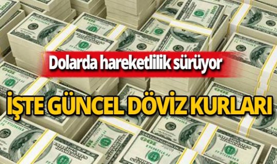 23 Ağustos 2019 Döviz kurlarında son durum