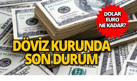 23 Ekim 2018 Döviz kurunda son durum