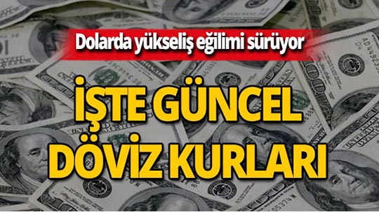 23 Temmuz 2019 Döviz kurlarında son durum