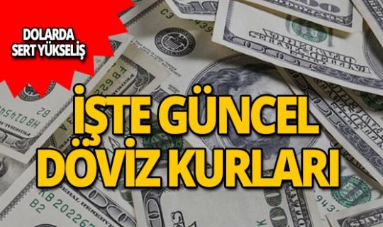 27 Ağustos 2019 Döviz kurlarında son durum