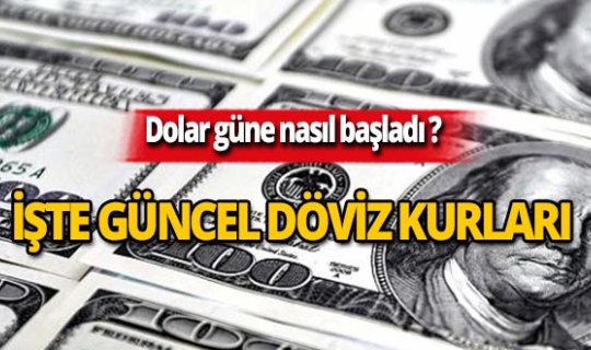28 Ağustos 2019 Döviz kurlarında son durum