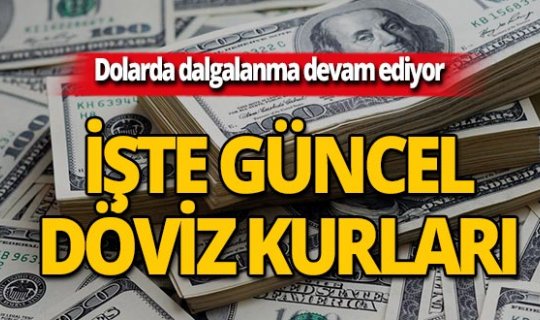 28 Mayıs 2019 Döviz kurlarında son durum