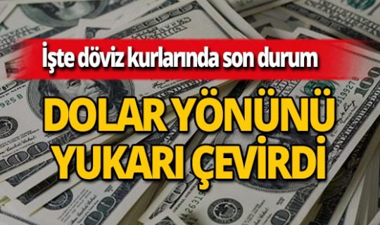 28 Şubat 2019 Döviz kurlarında son durum