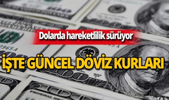 29 Ağustos 2019 Döviz kurlarında son durum