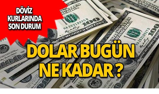 29 Ocak 2019 Döviz kurlarında son durum