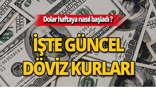 29 Temmuz 2019 Döviz kurlarında son durum