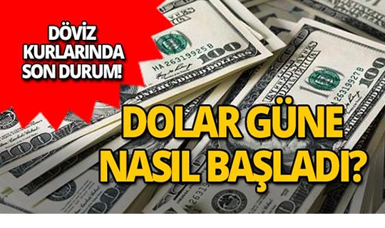 2 Ocak 2019 Döviz kurlarında son durum