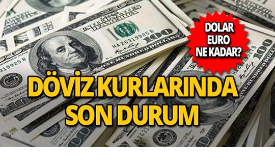 30 Ekim 2018 Döviz kurlarında son durum
