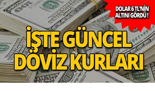 30 Mayıs 2019 Döviz kurlarında son durum