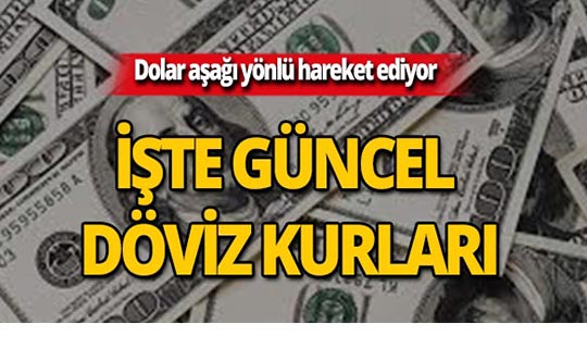 30 Temmuz 2019 Döviz kurlarında son durum