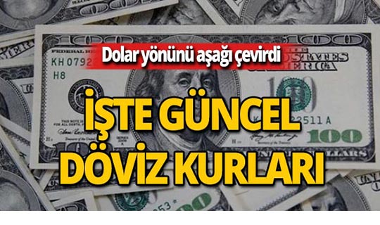 31 Mayıs 2019 Döviz kurlarında son durum
