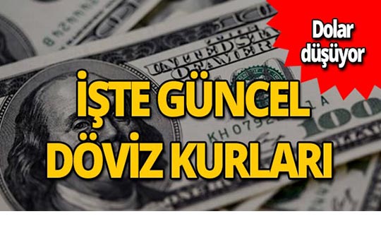 31 Temmuz 2019 Döviz kurlarında son durum