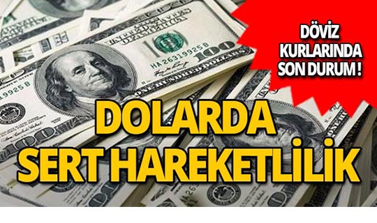 3 Ocak 2019 Döviz kurlarında son durum