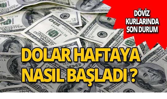 4 Şubat 2019 Döviz kurlarında son durum