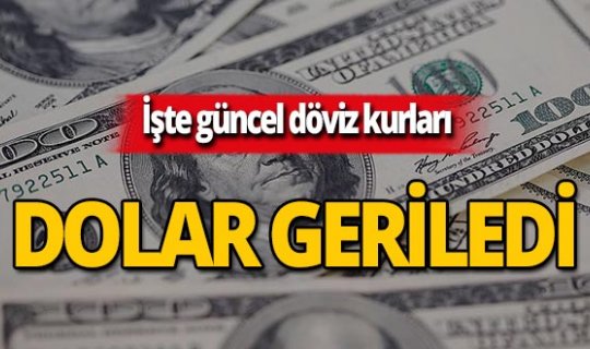 4 Temmuz 2019 Döviz kurlarında son durum
