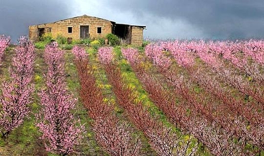 6,5 liraya ev satıyorlar! İşte nedeni...